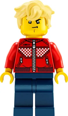 Image de LEGO DREAMZzz : Cooper