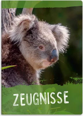 Produktbild von itenga Zeugnismappe A4 Kunststoff Sichtbuch Motiv Koala