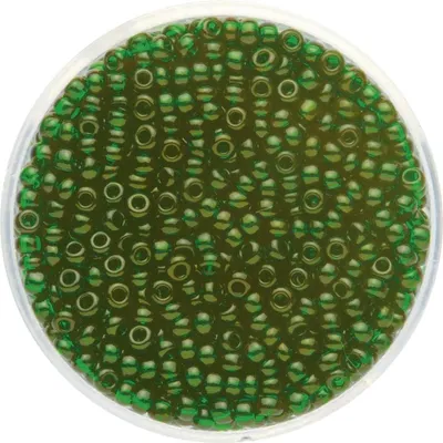 Produktbild von Glorex Rocailles Perlen 2,6 mm 17 g  dunkelgrün