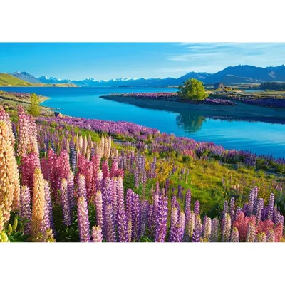 Produktbild von Castorland Puzzle Lake Tekapo Legespiel 500 Teile Neuseeland