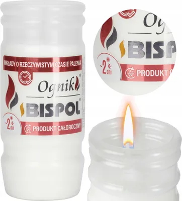 Obrázok produktu pre BISPOL - Ognik WP2N plnená vložka - 1 ks.