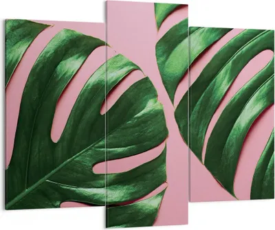 Produktbild von Bild auf Leinwand - Leinwandbild - 3 Teile - Monstera Blatt Rosa - 130x100cm - Wand Bild - Wanddeko - Wandbilder - Leinwanddruck - Bilder - Wanddekoration - Leinwand bilder - Wandbild - CB130x100-4407