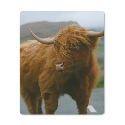 Produktbild von MuchoWow® Mauspad Mousepad Schottischer Highlander - Berg - Straße 30x40 cm - Mousepads - Maus Mat - Pad - Mausunterlage - Mausmatten