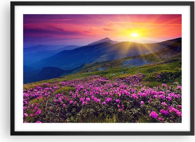 Produktbild von Gerahmtes Poster - Schwarzer Rahmen - Wiese Berge Landschaft - 70x50 cm - Wand Bild - Wanddeko - Wandbilder - Kunstposter - Wandposter - Bilderrahmen - Bilder - Kunstdruck - Wandbild - P2BAA70x50-2676
