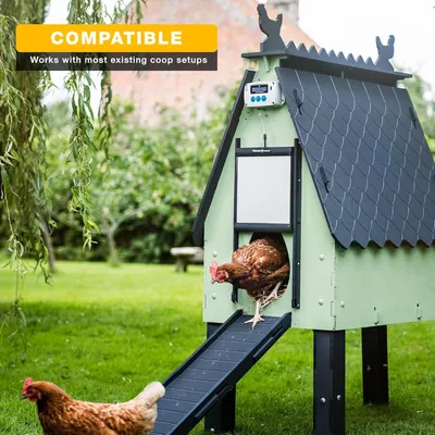 Productafbeelding van Kippenluik - Automatische Kippendeur - Hokopener - Dierenluik - Kippenhokdeur - Timerfunctie