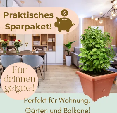 Interior scene with furniture and plants, overlaid with marketing text and graphics.