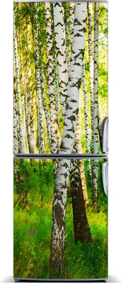 Produktbild von Tulup Kühlschrankdekoration - Magnetmatte - 60 cm x 180 cm - Magnet auf dem Kühlschrank - Birkenwald