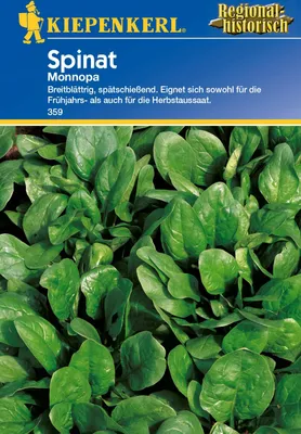 Produktbild von Kiepenkerl Spinatsamen Monnopa