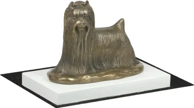 Image de Yorkshire Terrier - statue de chien, figurine sur socle blanc, trophée pour l'exposition canine Art Dog.