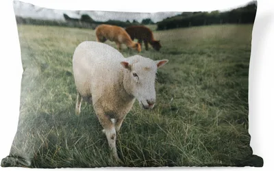 Produktbild von MuchoWow® Outdoor Kissen - Schafe - Tiere - Gras - 60x40 cm - Wetterfest - Lounge Kissen - Zierkissen - Kissen für Innenräume