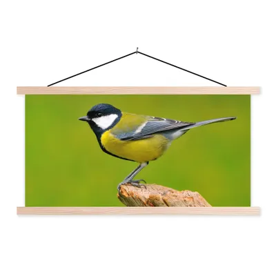 Produktbild von MuchoWow® Textilposter Vogel - Kohlmeise - Tiere - Grün 60x30 cm mit holzfarbenen Rahmen - Dekoration