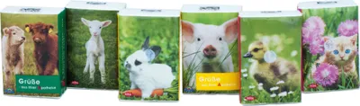 Produktbild von Taschentücher Pocket Tierkinder, 1 St