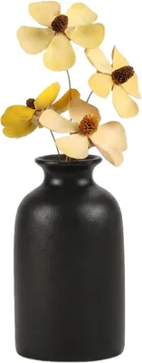 Image de Vase en céramique, petite taille - Vase rond - Pour fleurs séchées - Style bohème - Minimaliste
