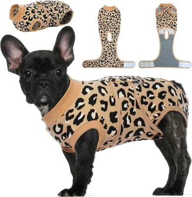 Image de Kuoser Body pour chien OP Body pour chat Castration Mâle Marron foncé