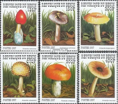 Produktbild von Briefmarken Benin 1997 Mi 989-994 (kompl.Ausg.) postfrisch Pilze