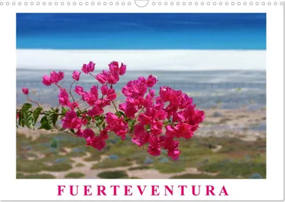 Produktbild von Fuerteventura (Wandkalender 2027 DIN A3 quer), CALVENDO Monatskalender