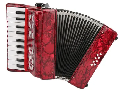 Productafbeelding van 22 Toets 8 Bass Piano Accordeon voor Beginners - Rood
