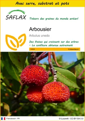 Image de SAFLAX Ensemble de culture - Arbousier - 50 graines - Arbutus