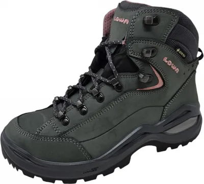 Produktbild von Lowa Renegade GTX EVO Wanderschuh Grau