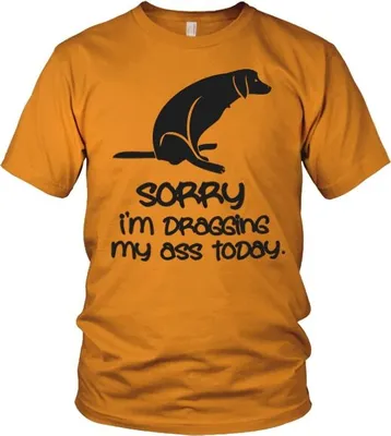 Produktbild von Sorry For Dragging My Ass Today - X-Large - Orange