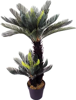 Produktbild von Künstliche Cycas Palme 100 cm mit 41 Palmenwedel Kunstpalme im Topf Kunstpflanze