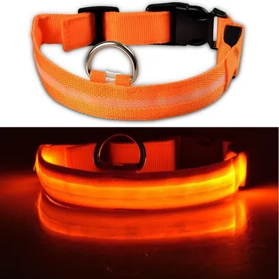 Produktbild von Hundehalsband Leuchthalsband Hund LED USB Aufladbar Akku Halsband Gr. S M L XL Farbe Orange - Aufladbar USB Größe Gr. L (41 - 52cm)