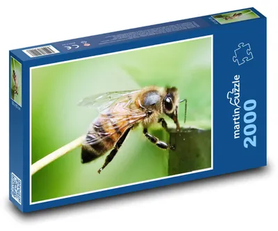 Obrázek produktu pro Puzzle 2000 Včela na Louce - martinpuzzle