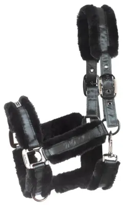 Produktbild von Cavallo Fellhalfter Cavaljuno HW 2024 Halfter Silver Pine VB