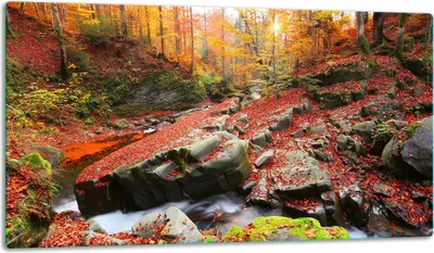 Produktbild von Glasschneidebrett Herdabdeckplatte Glaskeramikkochfeld Universal 52x30 cm Landschaft Meer