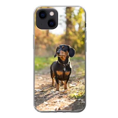 Produktbild von MuchoWow® Handyhülle Schutzhülle Hülle für iPhone 13 Ein schöner Dackel im Wald Silikon Softcase Handy Hülle - Karteninhaber