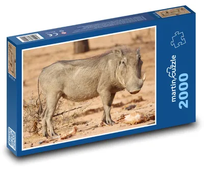 Obrázok produktu pre martinpuzzle - Puzzle 2000 - Kancúz bradavicnatý