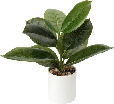 Productafbeelding van Unyqoos® Kunstplant, ongeveer 31 cm hoog, in een keramische pot (pot ongeveer 11 cm) – Eikenbladmotief, gemakkelijk in onderhoud, geschikt voor kantoor, badkamer, slaapkamer en woonkamer