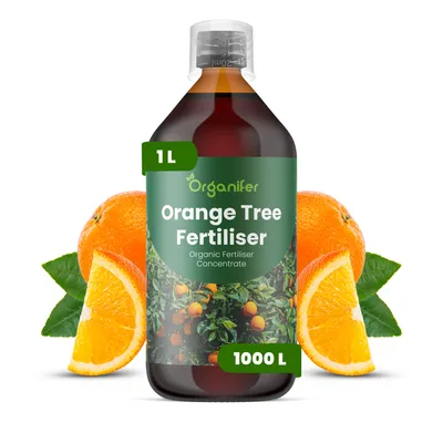 Obrázok produktu pre Tekuté hnojivo "Pomarančový strom" 1 L – vzorec NPK 2-1-8 – vhodné pre pomarančovníky – podporuje silný rast a hustú korunu – organické