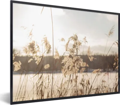 Produktbild von MuchoWow® Gerahmtes Poster Wasser - Pampasgras - Pflanzen 80x60 cm - Poster mit Schwarzem Bilderrahmen Wandposter Rahmen Foto Bilder - Schwarzem - Mit Gestell