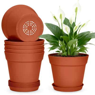 Obrázok produktu pre Kvetináče s podstavcami, 6 kusov, priemer 15 cm, plastové, vhodné na kaktusy a bylinky