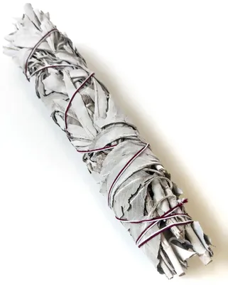 Weißer Salbei-Bündel, 24 cm, aus Kalifornien, Räucherwerk
