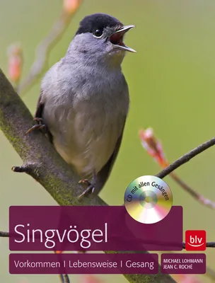 Immagine prodotto di Singvögel