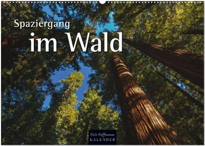Produktbild von Spaziergang im Wald (Wandkalender 2026 DIN A2 quer), CALVENDO Monatskalender