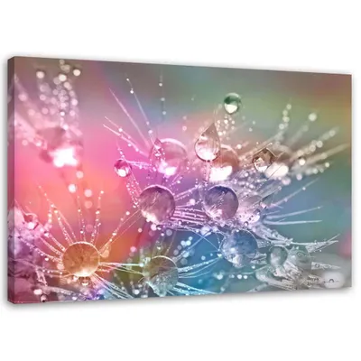 Produktbild von Leinwandbild wassertropfen auf einer schmeißfliege 60x40 cm Feeby lila wandbild bereit zum aufhängen