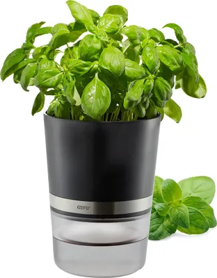 Produktbild von Kräutertopf BOTANICO