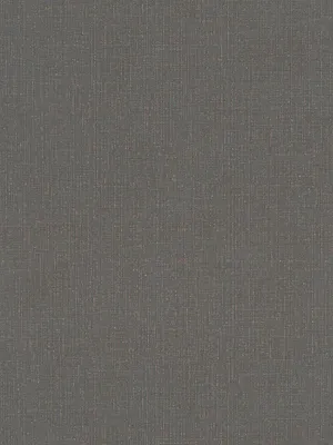 Obrázok produktu pre A.S. Creation | Jednofarebné tapety | Netkané tapety | MY HOME MY SPA | 386941 | Čierna | 10,05 x 0,53 m | Jednofarebné | Obývacia izba | Chodba | Kancelária | Kuchyňa | Obývacie izby