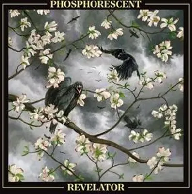 Produktbild von Revelator