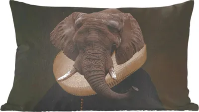Produktbild von MuchoWow® Zierkissen Sofakissen Wohnzimmer Dekokissen 50x30 cm Alte Meister - Elefant - Kunst - Wohnzimmerdekoration - Polster mit Photo
