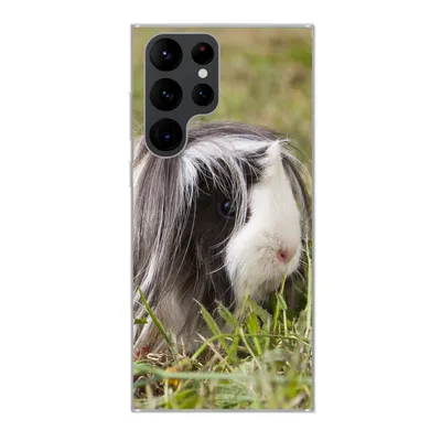 Produktbild von MuchoWow® Handyhülle Schutzhülle Hülle für Samsung Galaxy S22 Ultra Langhaar-Meerschweinchen Silikon Softcase Handy Hülle - Abbildung