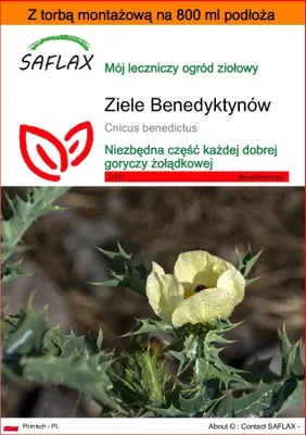 Zdjęcie produktu dla SAFLAX - Garden in the bag - Ziele Benedyktynów - 50 Nasiona - Z podłożem uprawowym w praktycznej, samorozkładającej się torbie - Cnicus benedictus