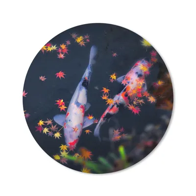 Produktbild von MuchoWow® Mauspad Mousepad Koi - Fisch - Regenbogen - Blätter 40x40 cm - Mousepads - Maus Mat - Pad - Mausunterlage - Schreibtisch Accessoires