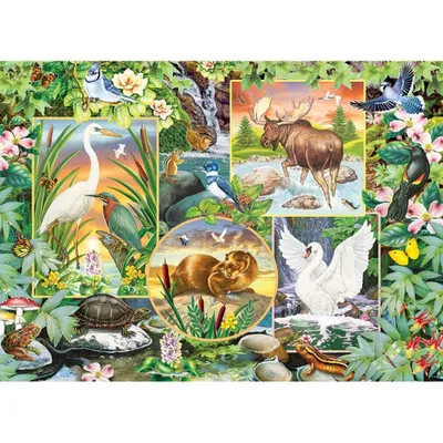 Obrázek produktu pro Puzzle 350 Magiczna rzeka 112673