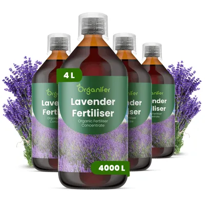 Obrázok produktu pre Tekuté hnojivo Levanduľa, 4 x 1 liter – vzorec NPK 2-1-8 – vhodné pre záhradu, terasu a stredomorské rastliny – podporuje zdravý rast – organické