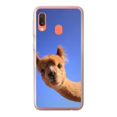 Produktbild von MuchoWow® Handyhülle Schutzhülle Hülle für Samsung Galaxy A20e Alpaka - Braun - Blau Silikon Softcase Handy Hülle - Abdeckung