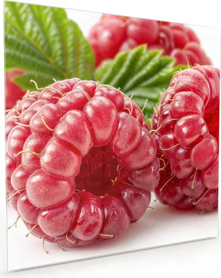 Produktbild von Küchenrückwand Spritzschutz Glas mit Motiv Frische Himbeeren 40 x 40 cm